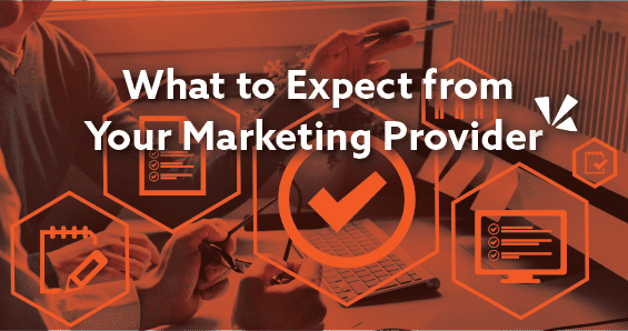 What to expect from your marketing provider blog header