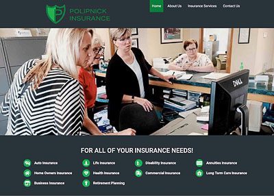 Polipnick Insurance website home page screenshot developed by Pinnacle Marketing Group