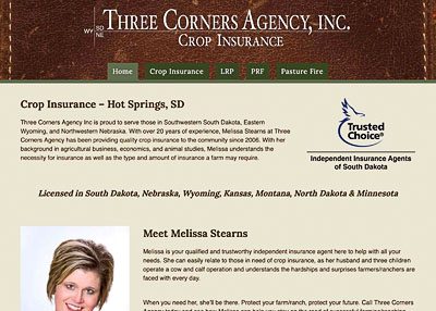 Three Corners Agency, Inc. website home page screenshot developed by Pinnacle Marketing Group